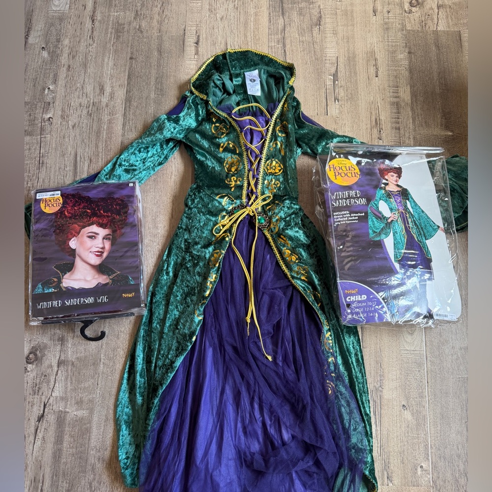 Hocus Pocus Winnifred  child costume size medium 10/12. Disney’s Hocus Pocus.